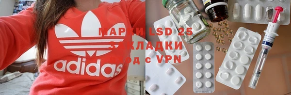индика Балахна