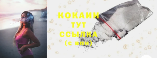 индика Балахна