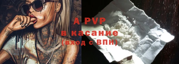 индика Балахна