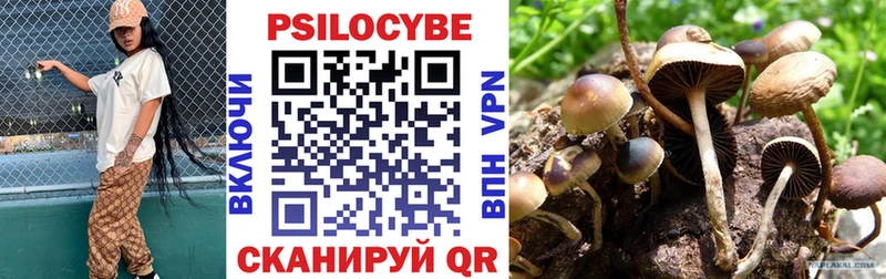 Псилоцибиновые грибы Psilocybine cubensis Усинск